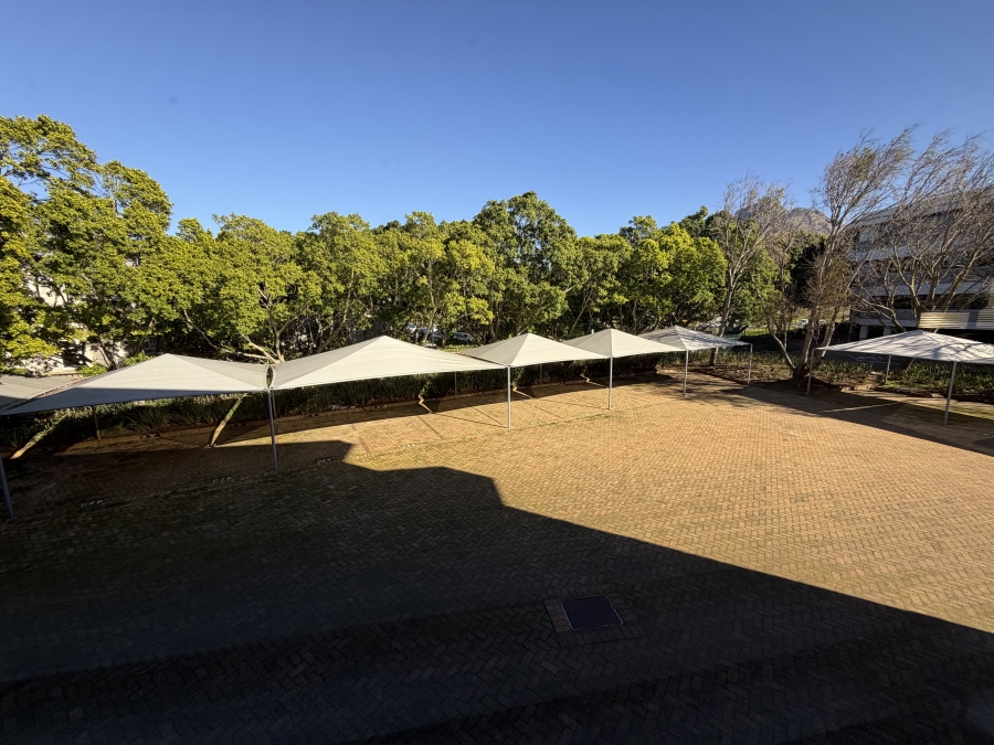 To Let Commercial Property for Rent in Mowbray Western Cape